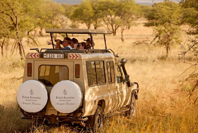 Four Seasons Safari Editorial