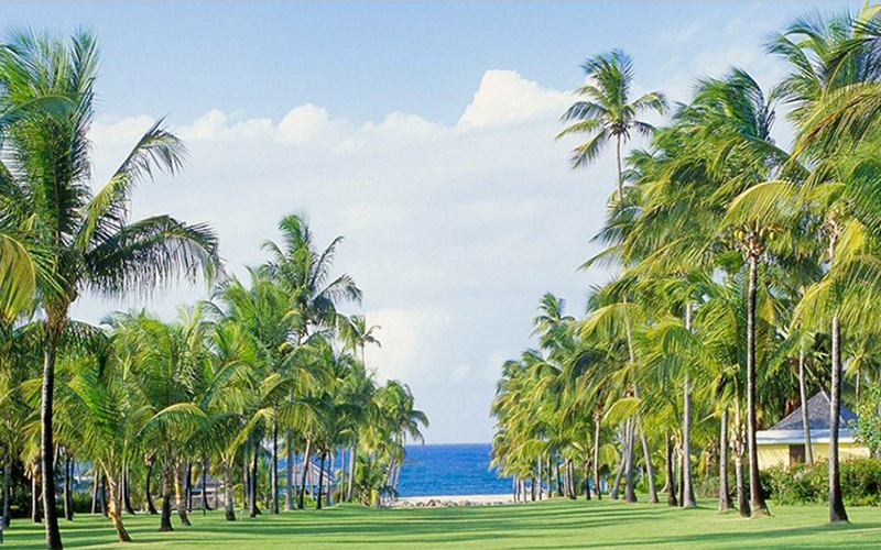 Nisbet Plantation Beach Club