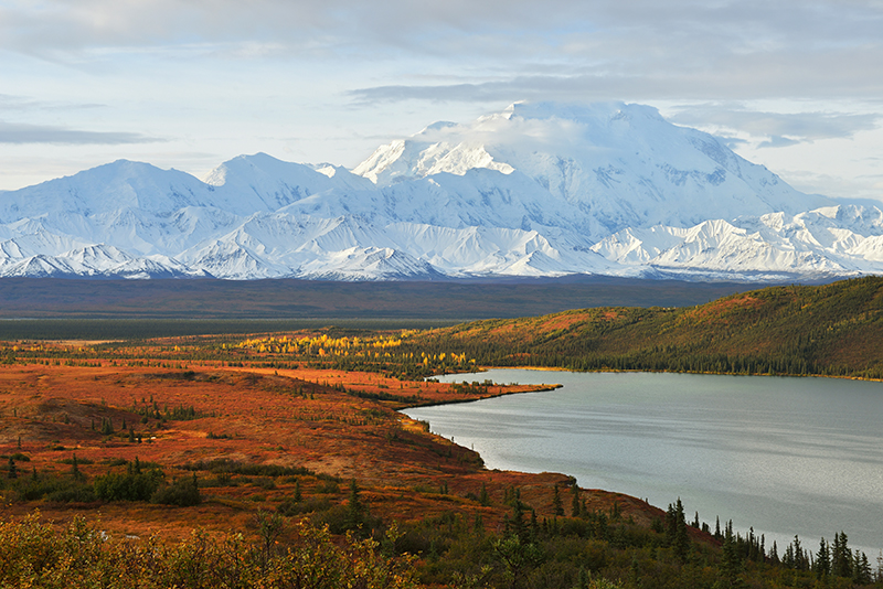 Denali and Wonder Lake - kongxinzhuiStockGetty Images PlusGetty Images