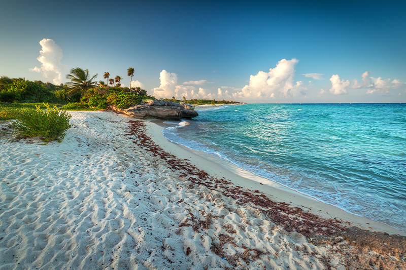 Playa del Carmen - Mustang79iStockGetty Images PlusGetty Images