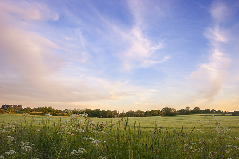 Suffolk - coastalrunneriStockGetty Images PlusGetty Images