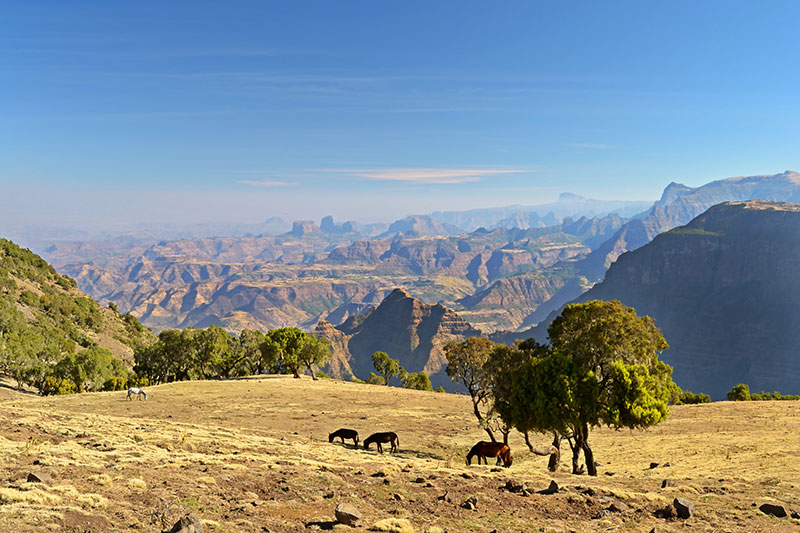 Ethiopia
