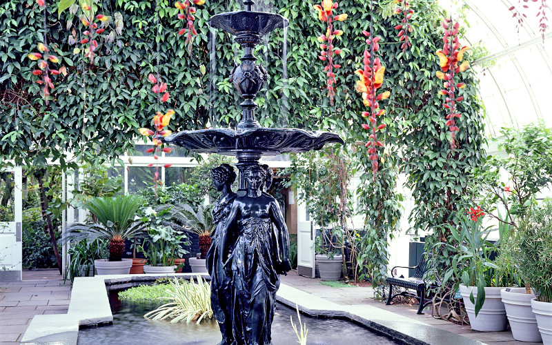 Aquatic Plants Gallery in the conservatory