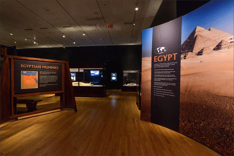 American Museum of Natural History
