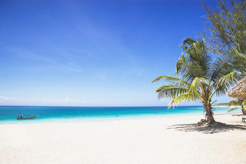 Tropical beach in Zanzibar