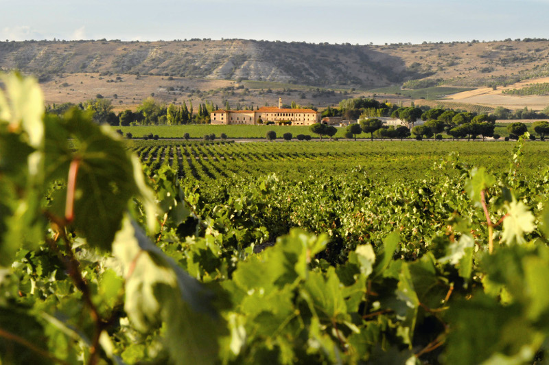Abadia Retuerta Le Domaine Estate