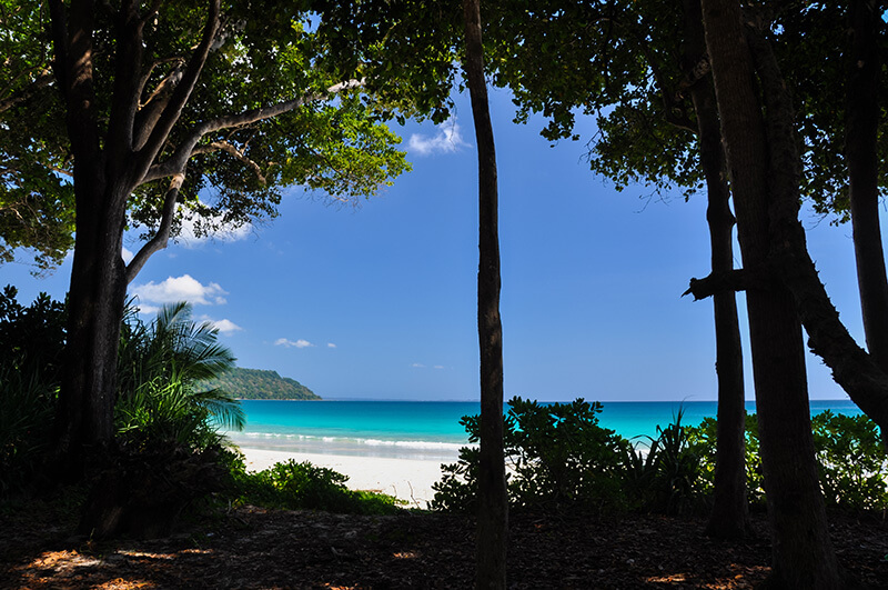 A picture of the beach on Havelock Island from behind the trees