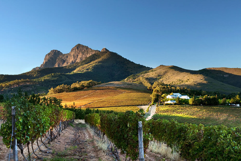 South Africa 