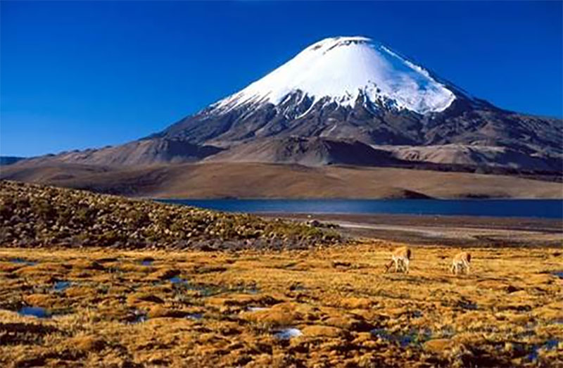Chungar Lake and Parinacota Volcano