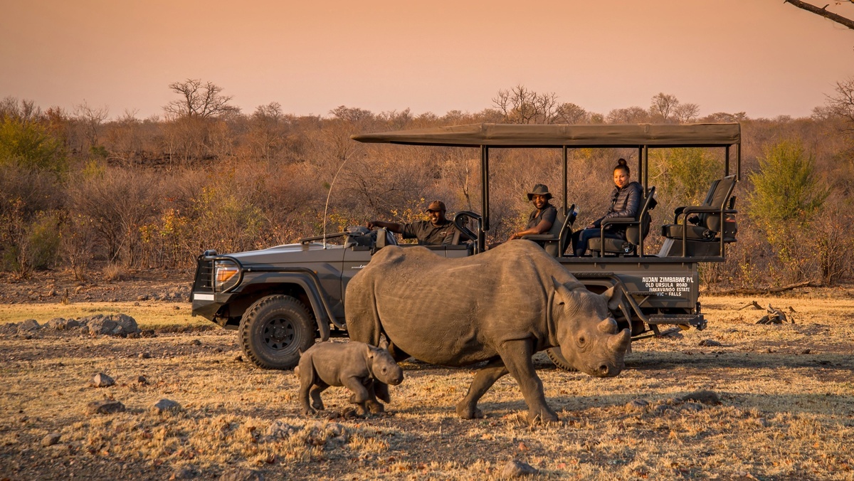 Anantara Stanley  Livingstone Victoria Falls HotelSafariBlack Rhino