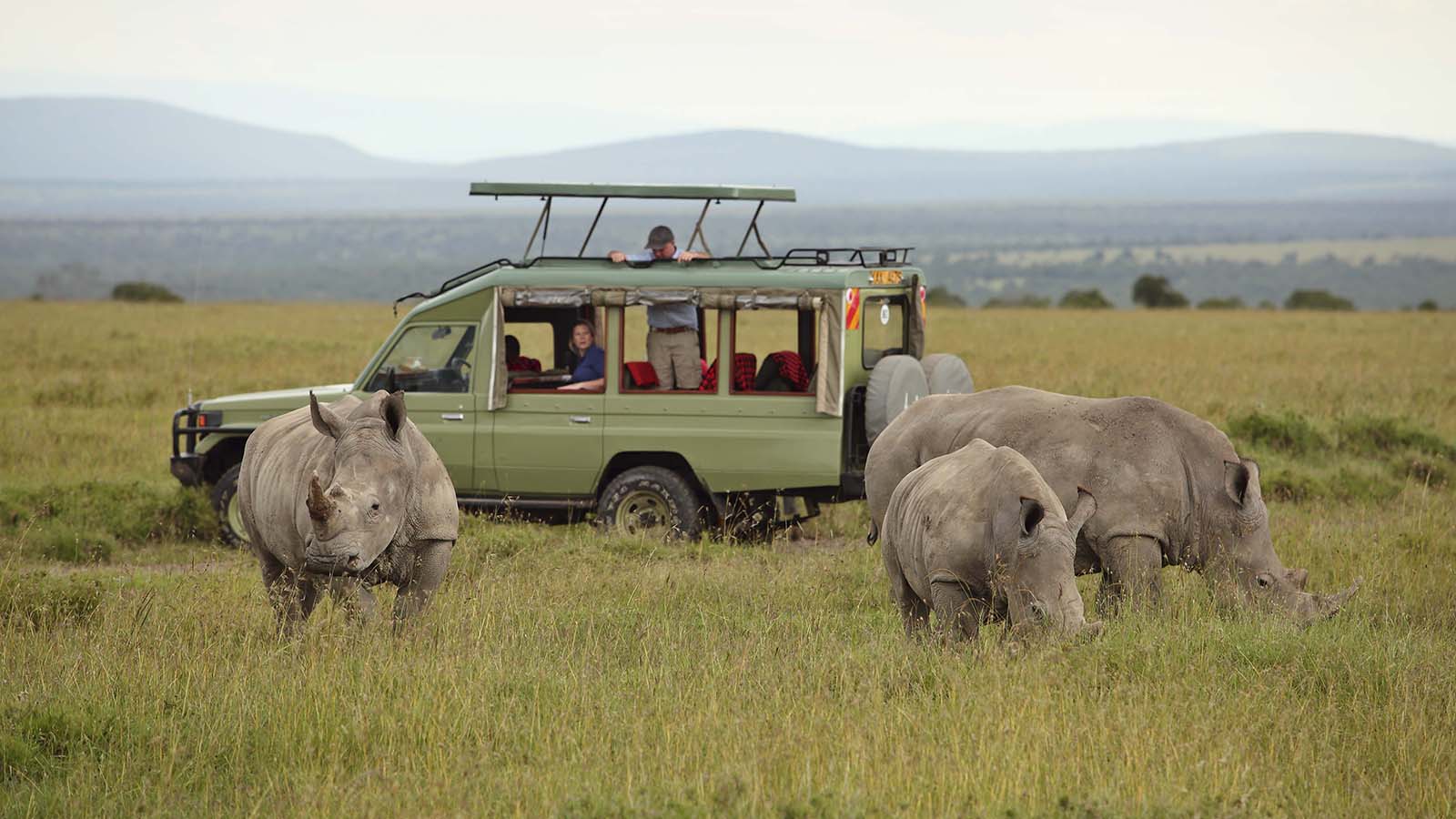 Asilia Ol Pejeta Bush Camp