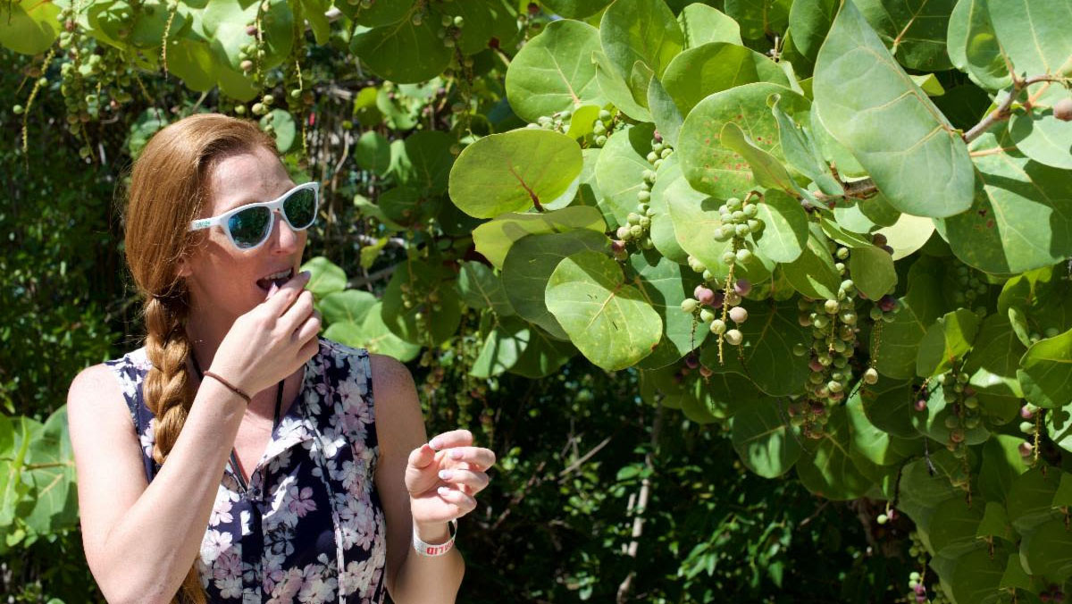 Eco Nature Walking Tour at Blue Lagoon IslandBahamas