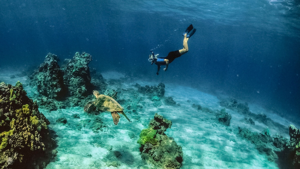 GetYourGuideHawaii