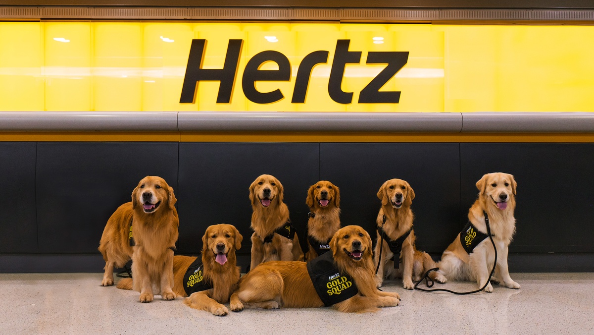 HertzGold Squad