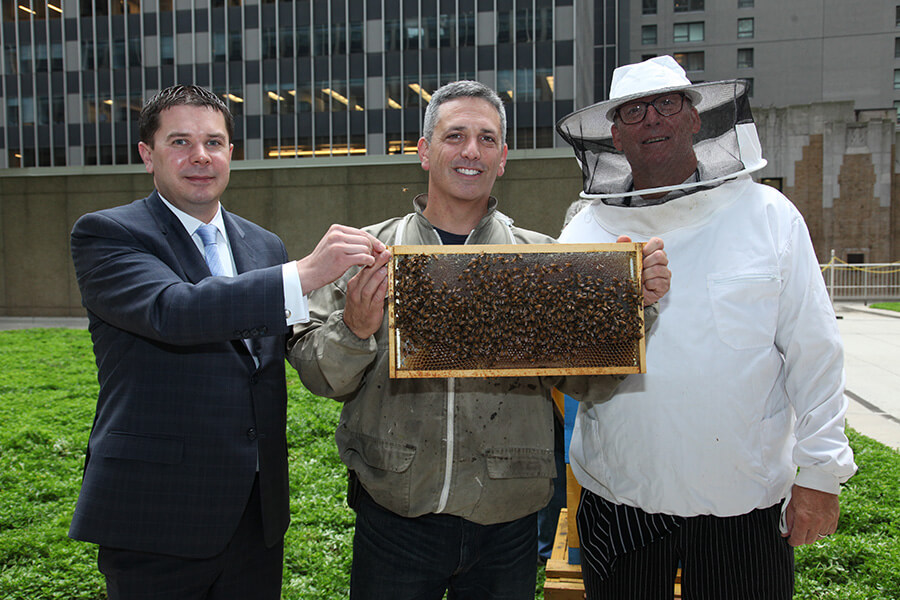 3 men holding up a piece of wood with bees