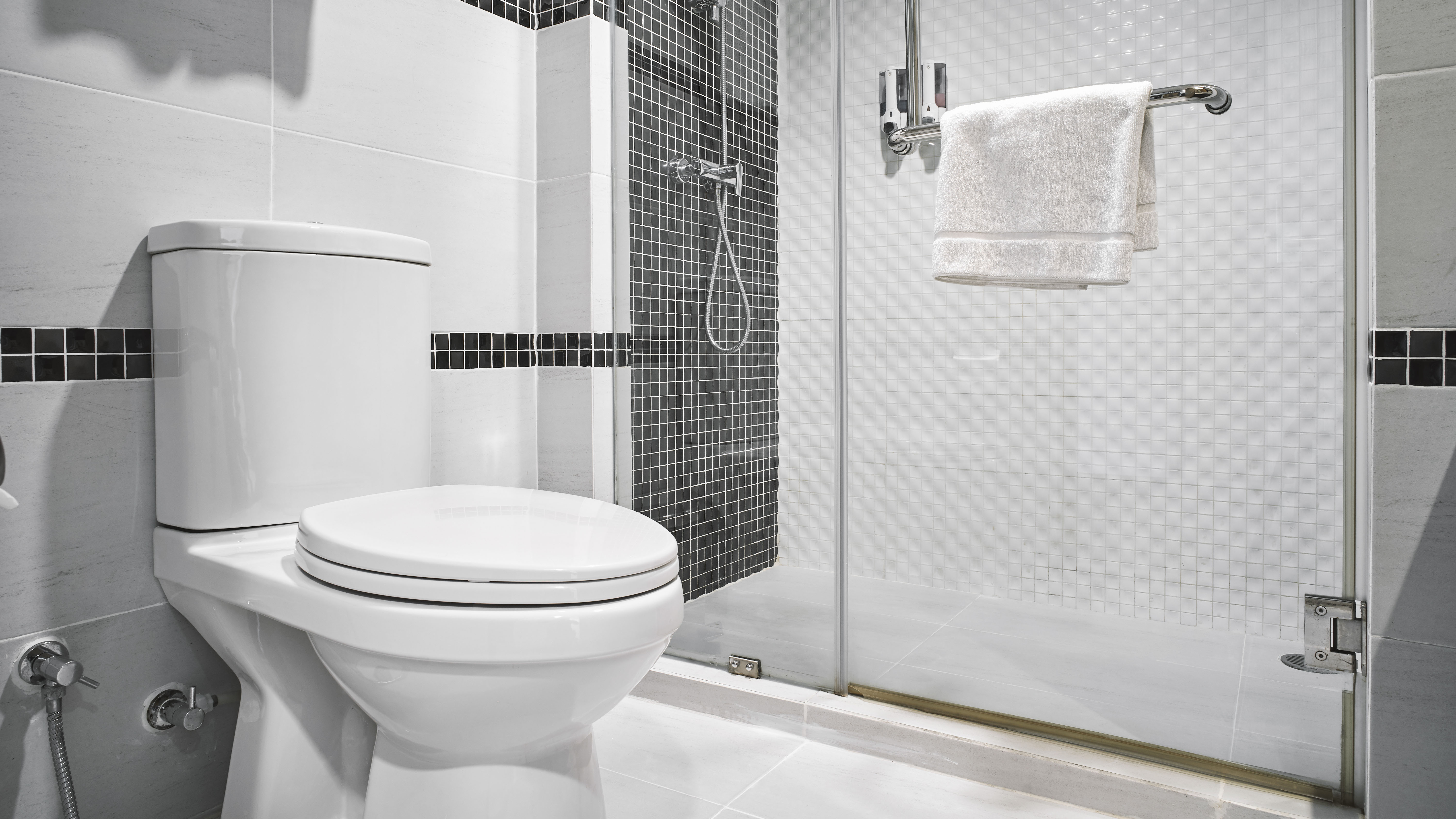 Hotel toilet