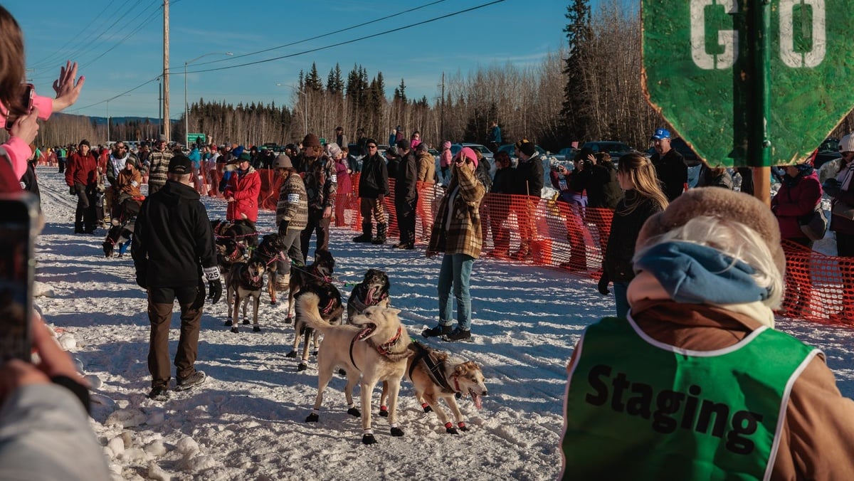IditarodInsight Vacations