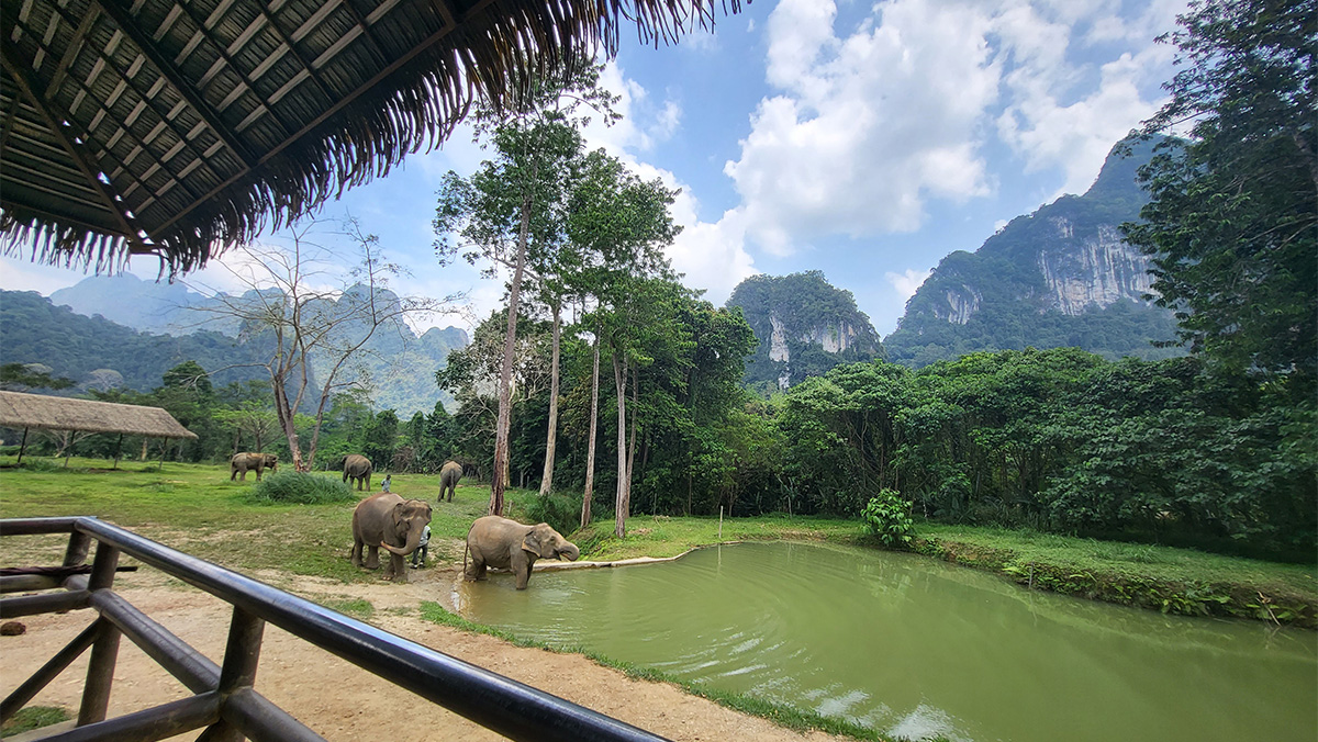 Khao Sok National Park InsideAsia Tours Elephant Hills Sanctuary