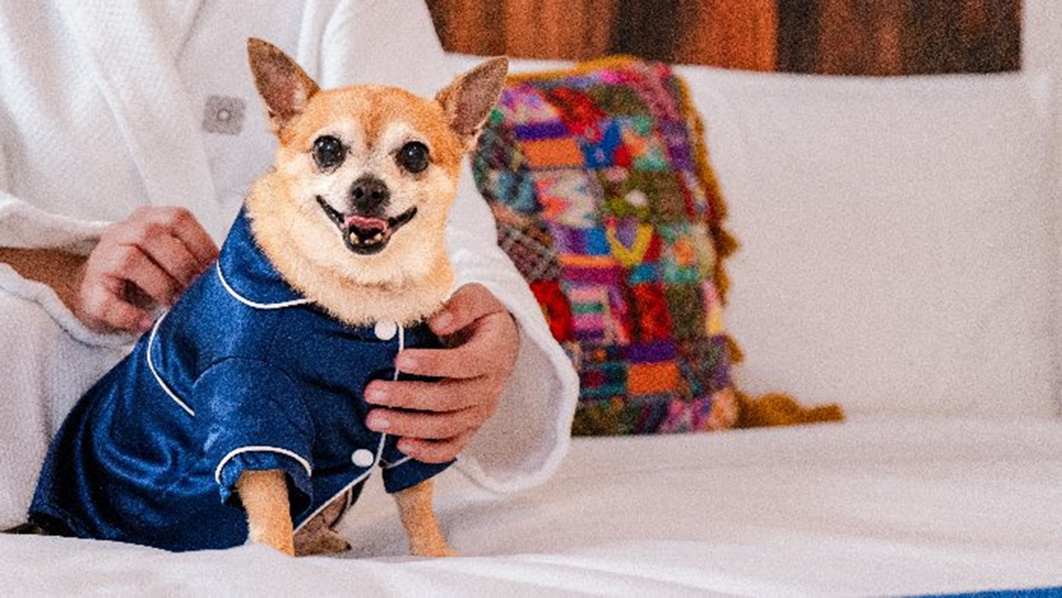 VIP Very Important Pets PackageMar del Cabo by Velas Resorts