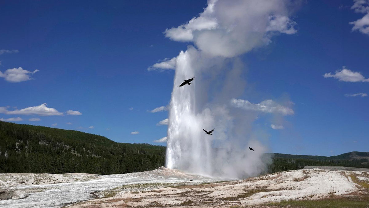 Natural Habitat Adventures Yellowstone