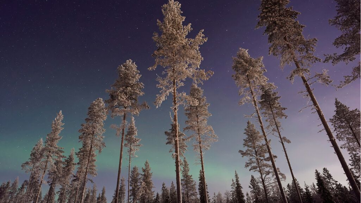 Northern LightsAbercrombie  Kent