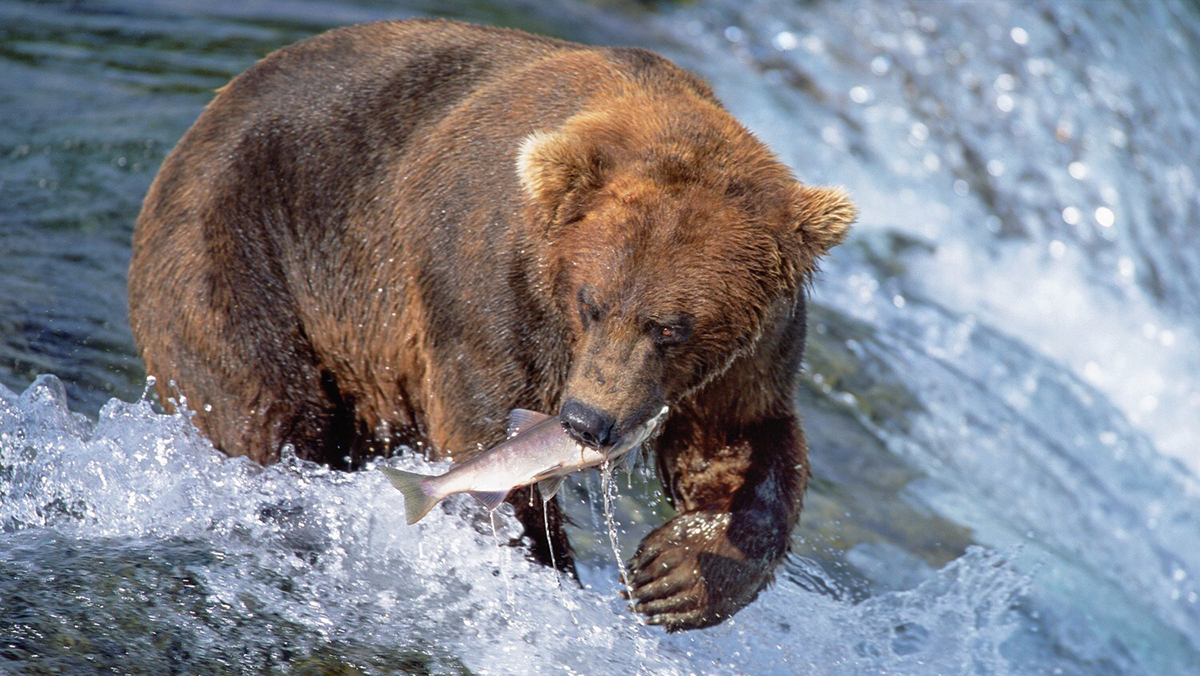 Alaska