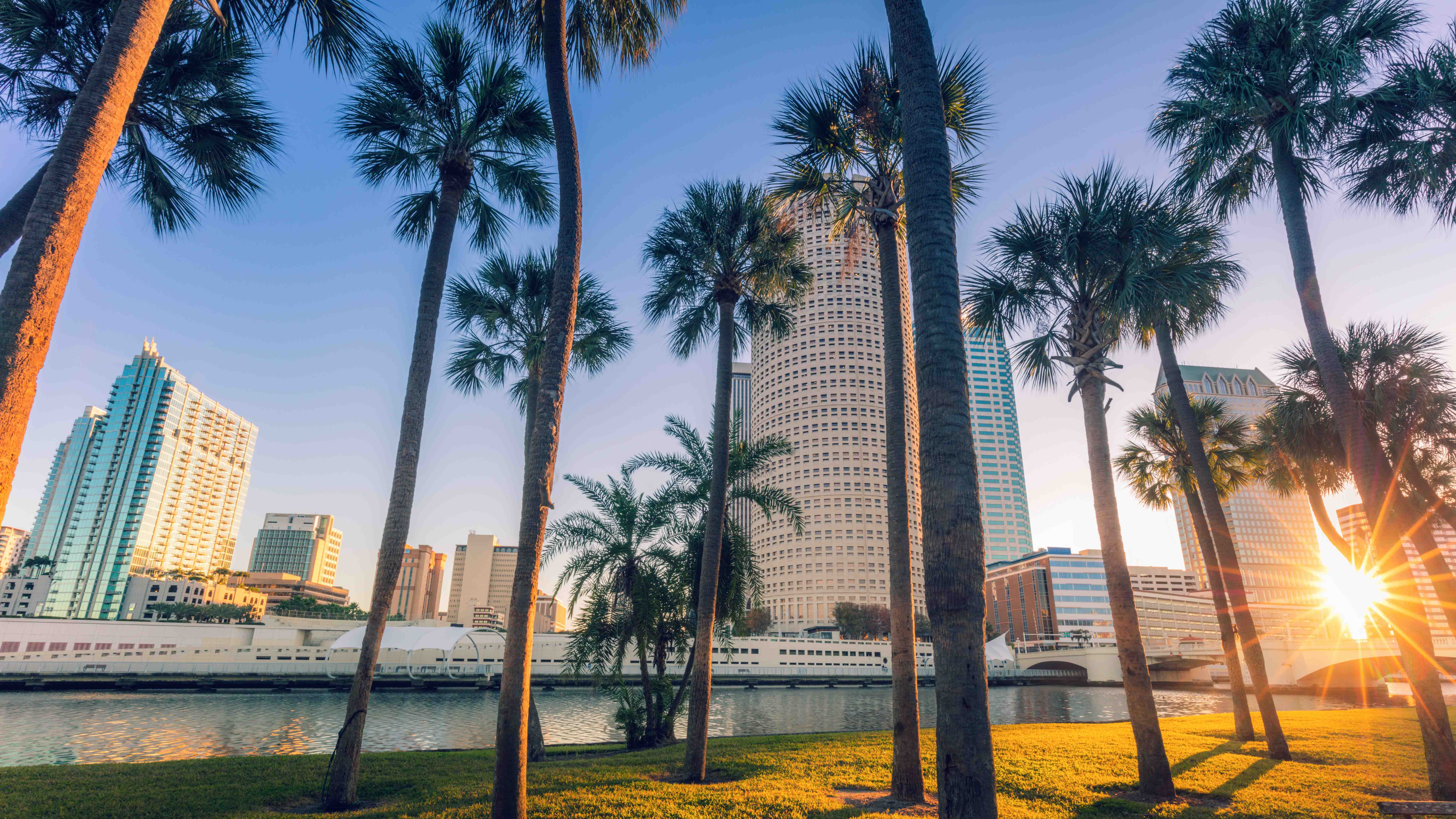 Tampa cityscape