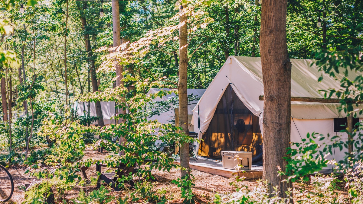 The Fields of MichiganOutdoor Collection by Under Canvas