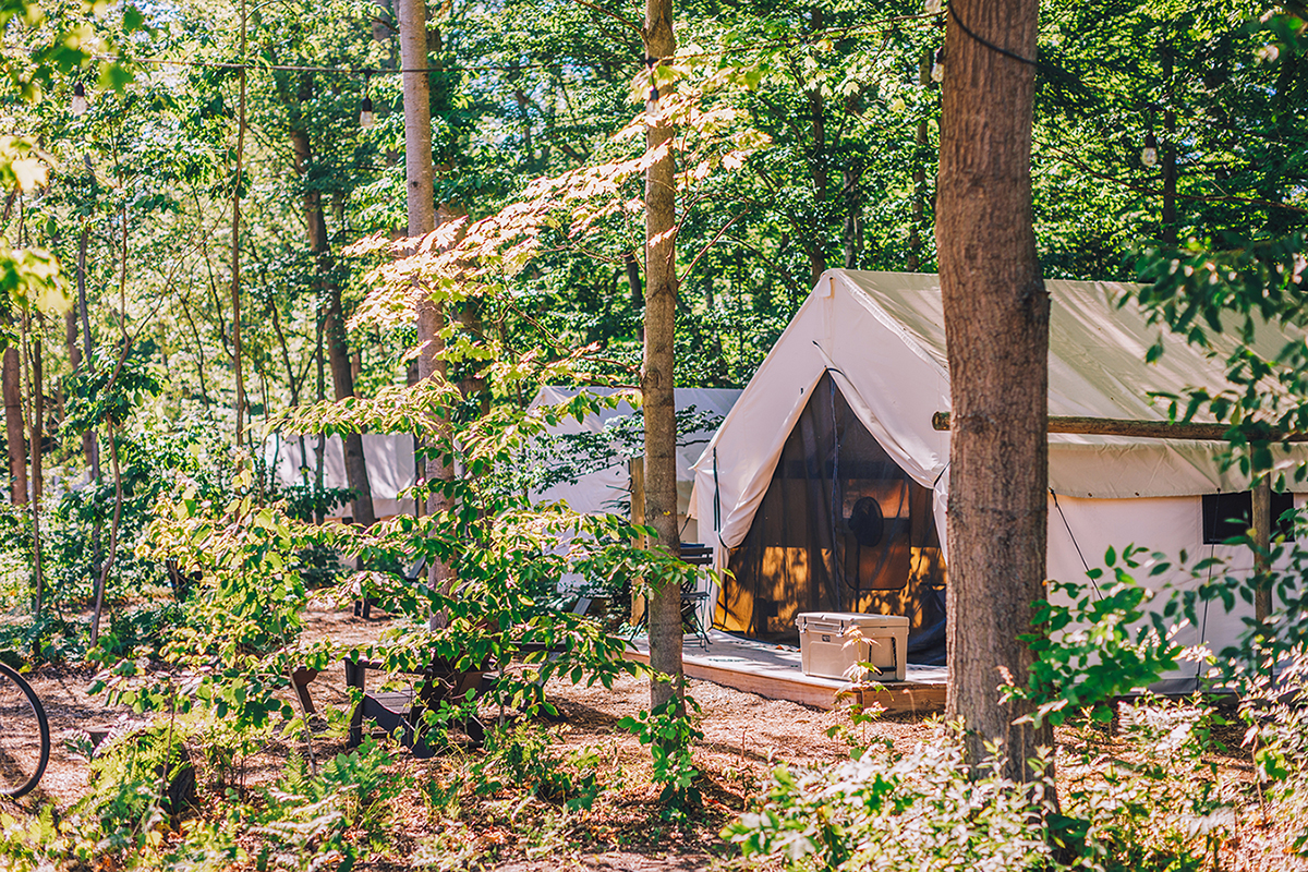 Under Canvas Fields of Michigan
