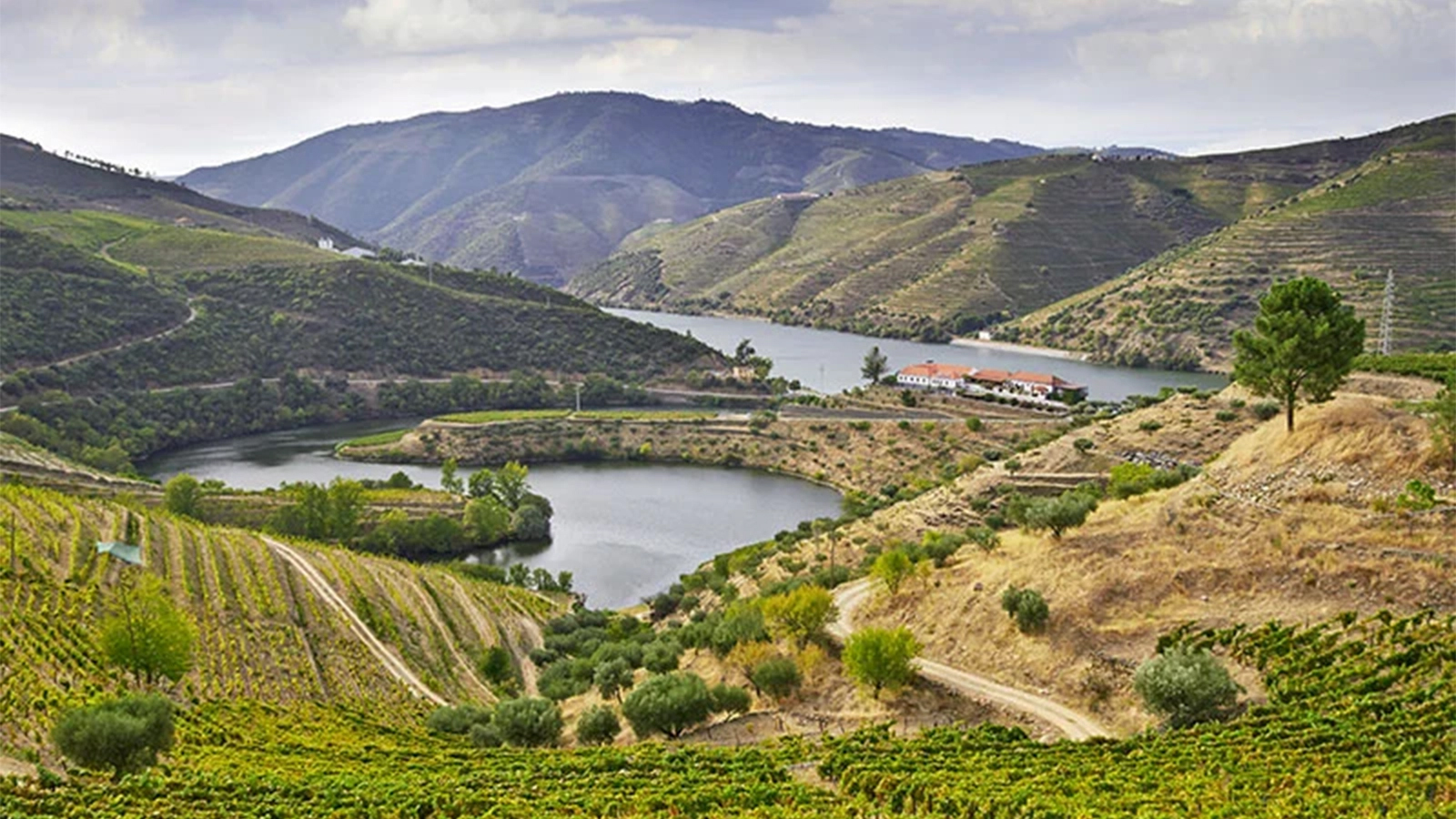 Douro river 