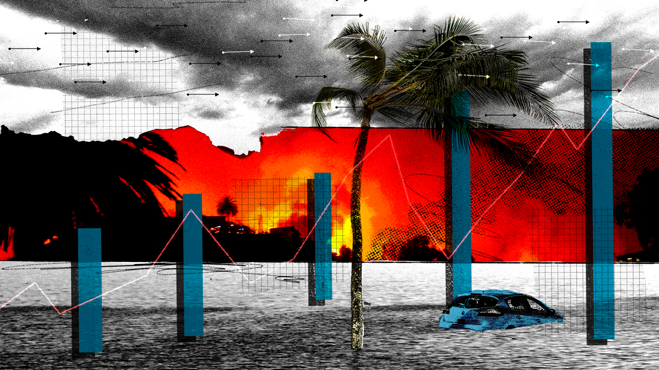 The insurance disruptor 