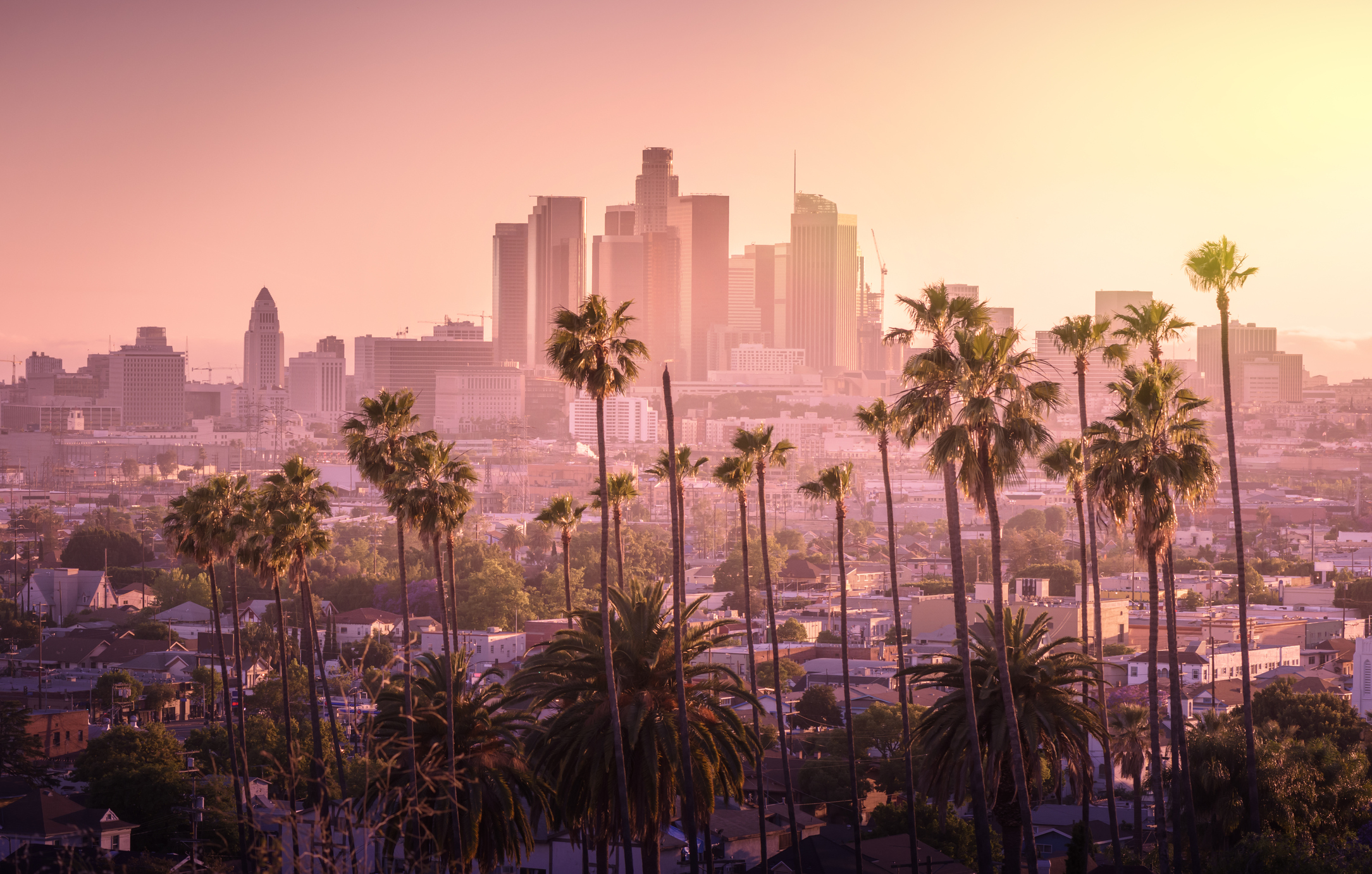 The newly opened completely renovatedMayfair Hotel is located in downtown Los Angeles and is near the Staples Center LA 