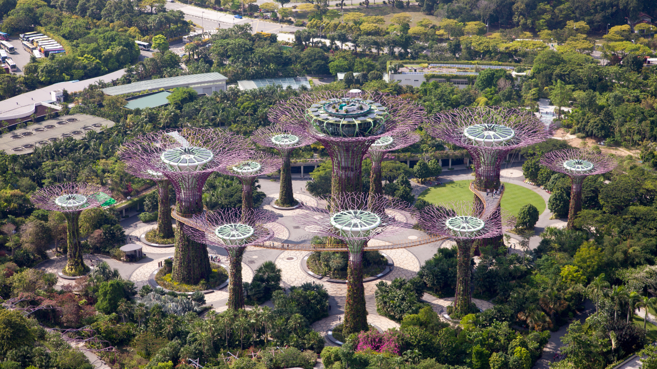 Panoramic views of the botanical gardens in Singapore