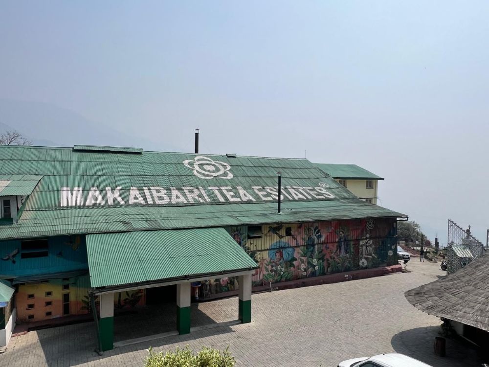 makaibari tea estate