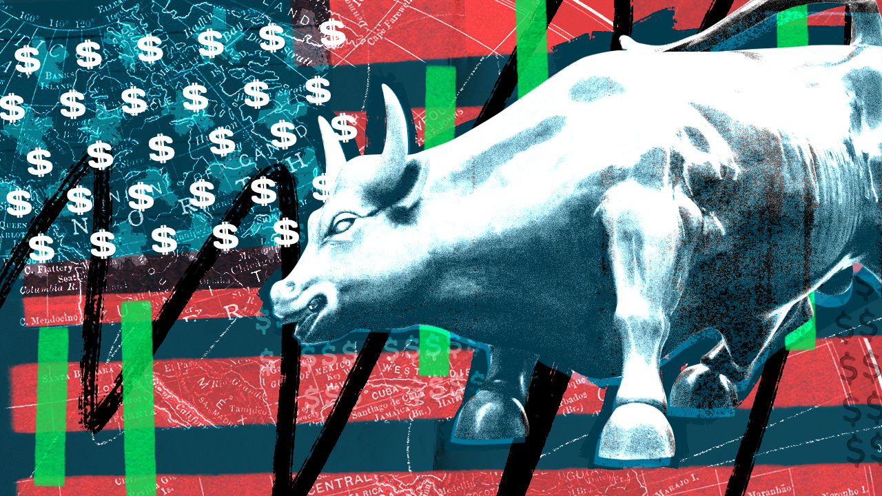 US dollar bull