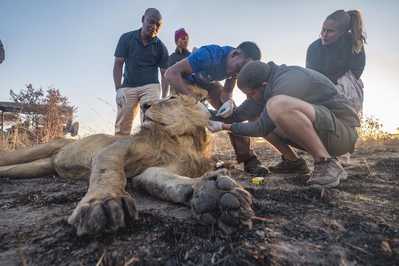 Conservation experiences in Tanzania’s Usangu