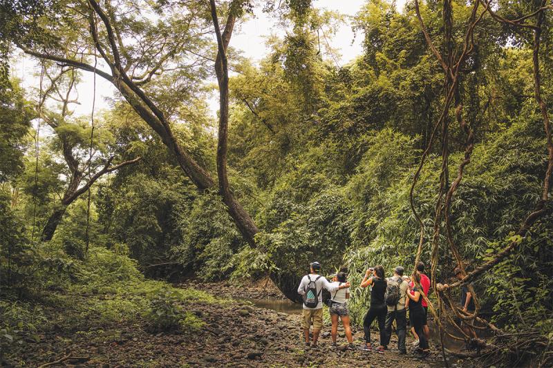 Andaz Costa Rica Hiking