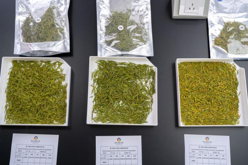 china tea cupping