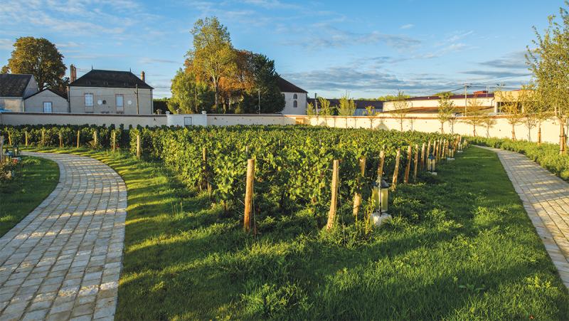 Clos Saint-Hilaire