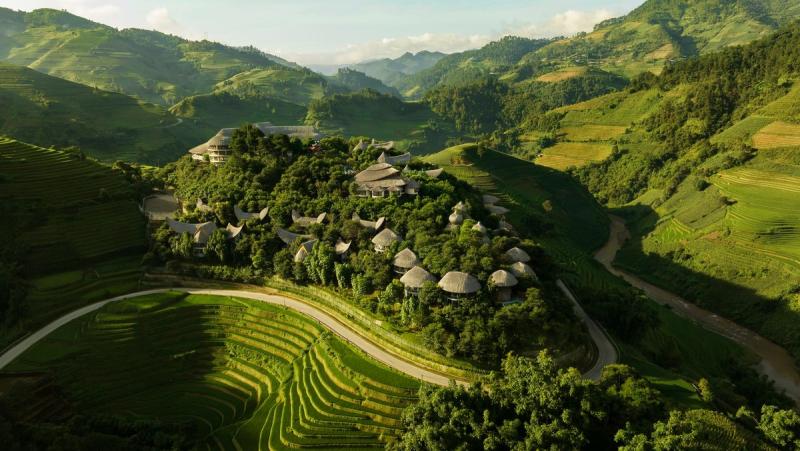 Garrya Mù Cang Chải in Vietnam