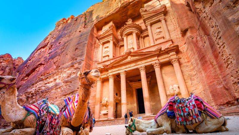 Jordan_Petra_Camels_Avanti Destinations