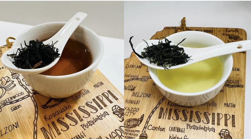 the great mississippi tea company