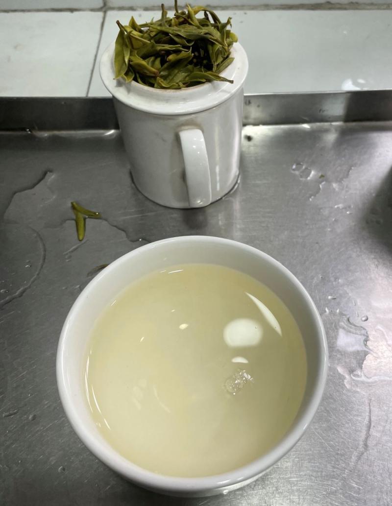 arya tea estate