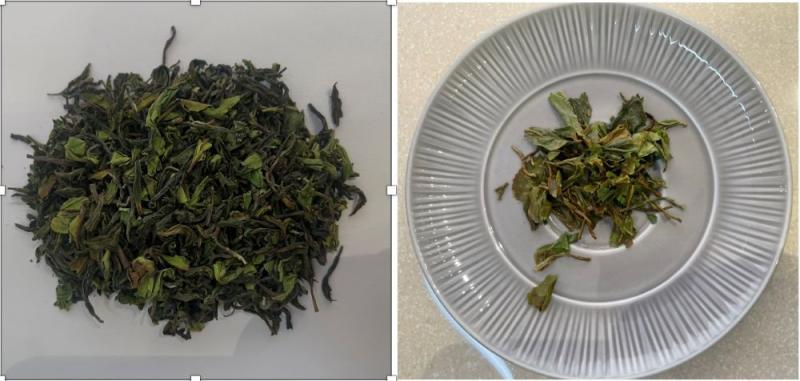 arya tea estate non-colonial estate