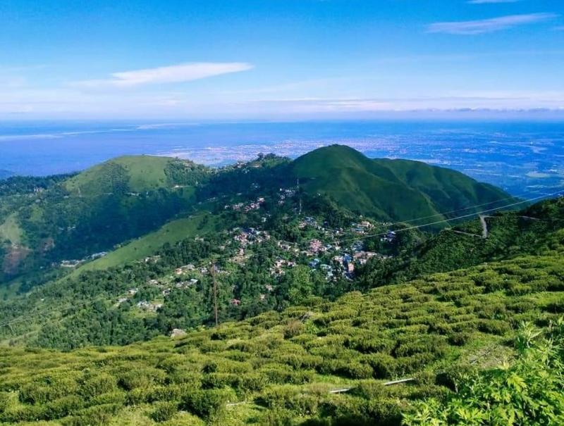 Giddapahar Tea Estate
