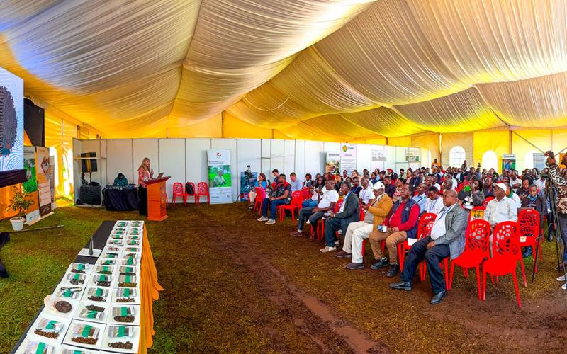 african tea conference