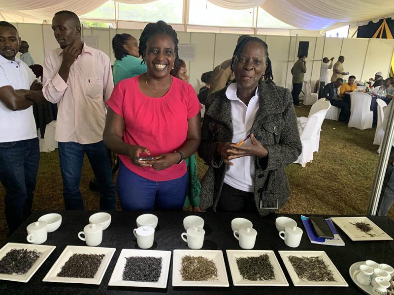 small african tea growers