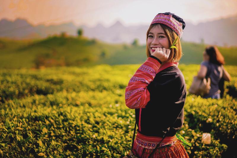 tea plucker in vietnam