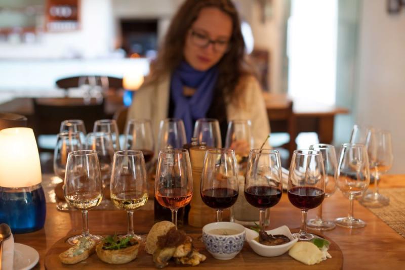 wine and food wine pairing