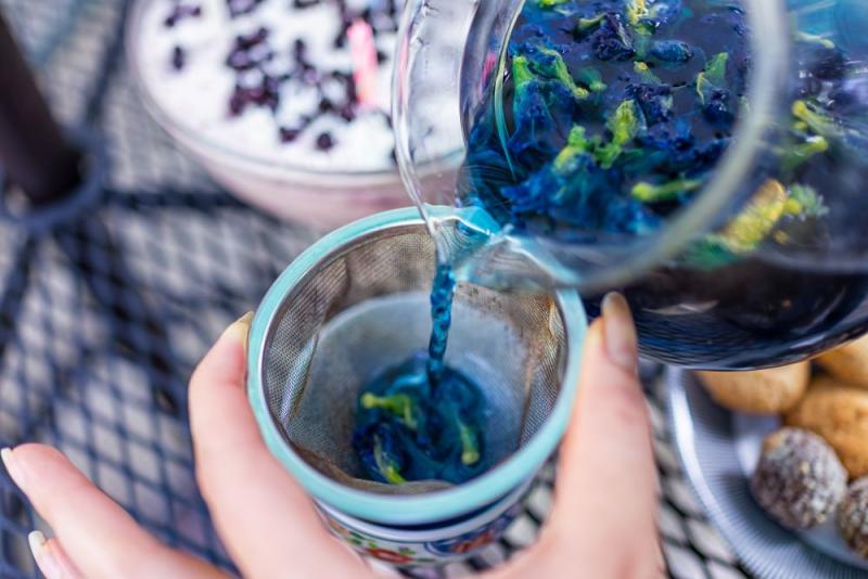 butterfly pea tea tea trends